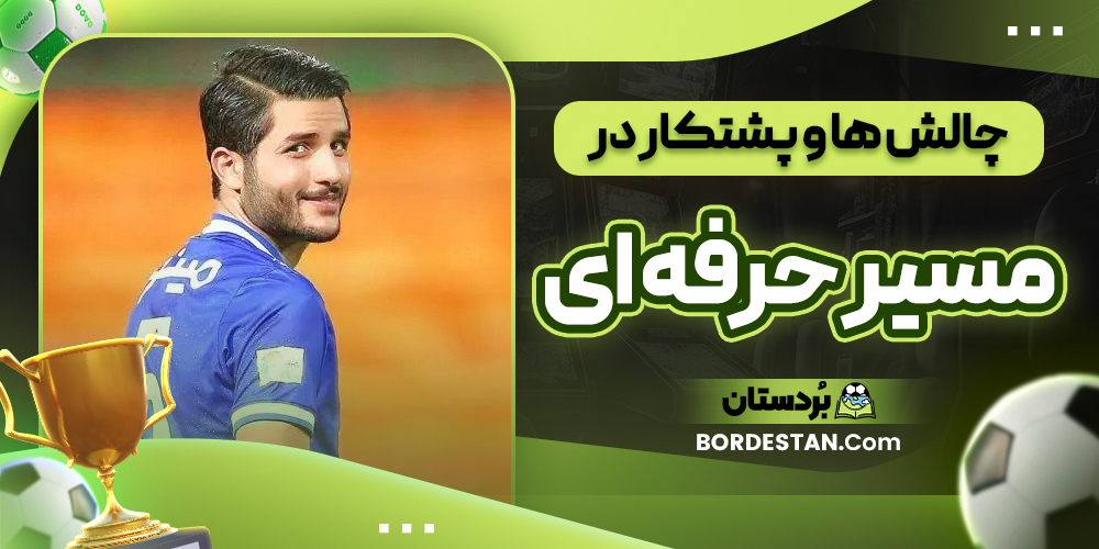 چالش ها و پشتکار در مسیر حرفه ای