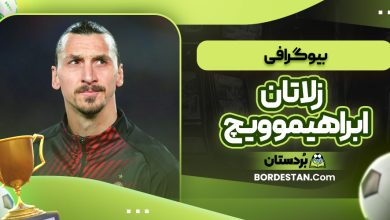 بیوگرافی زلاتان ابراهیموویچ