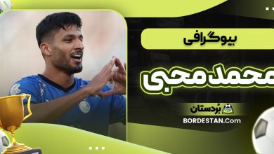 بیوگرافی محمد محبی