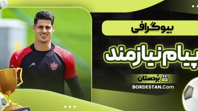 بیوگرافی پیام نیازمند