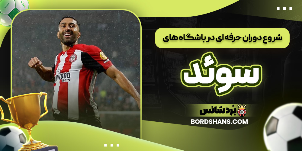 شروع دوران حرفه ای در باشگاه های سوئد