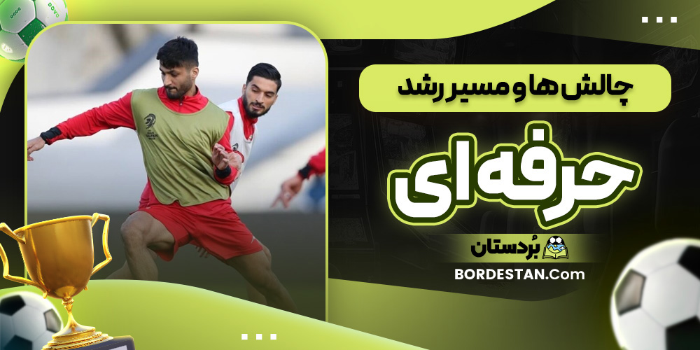 چالش ها و مسیر رشد حرفه ای چالش ها و مسیر رشد حرفه ای