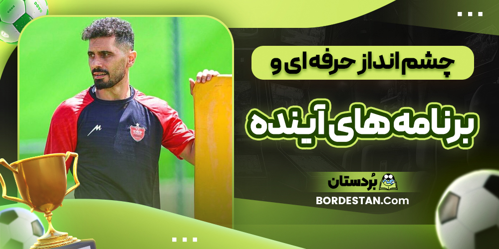 چشم انداز حرفه ای و برنامه های آینده چشم انداز حرفه ای و برنامه های آینده